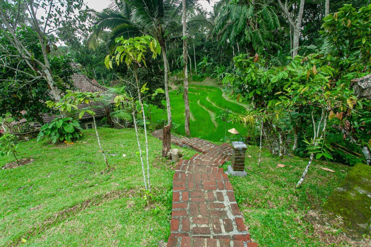 Tepi Sawah Lodge & Retreat Jatiluwih Exterior photo