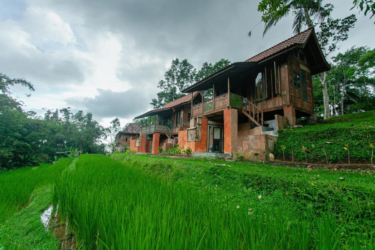 Tepi Sawah Lodge & Retreat Jatiluwih Exterior photo