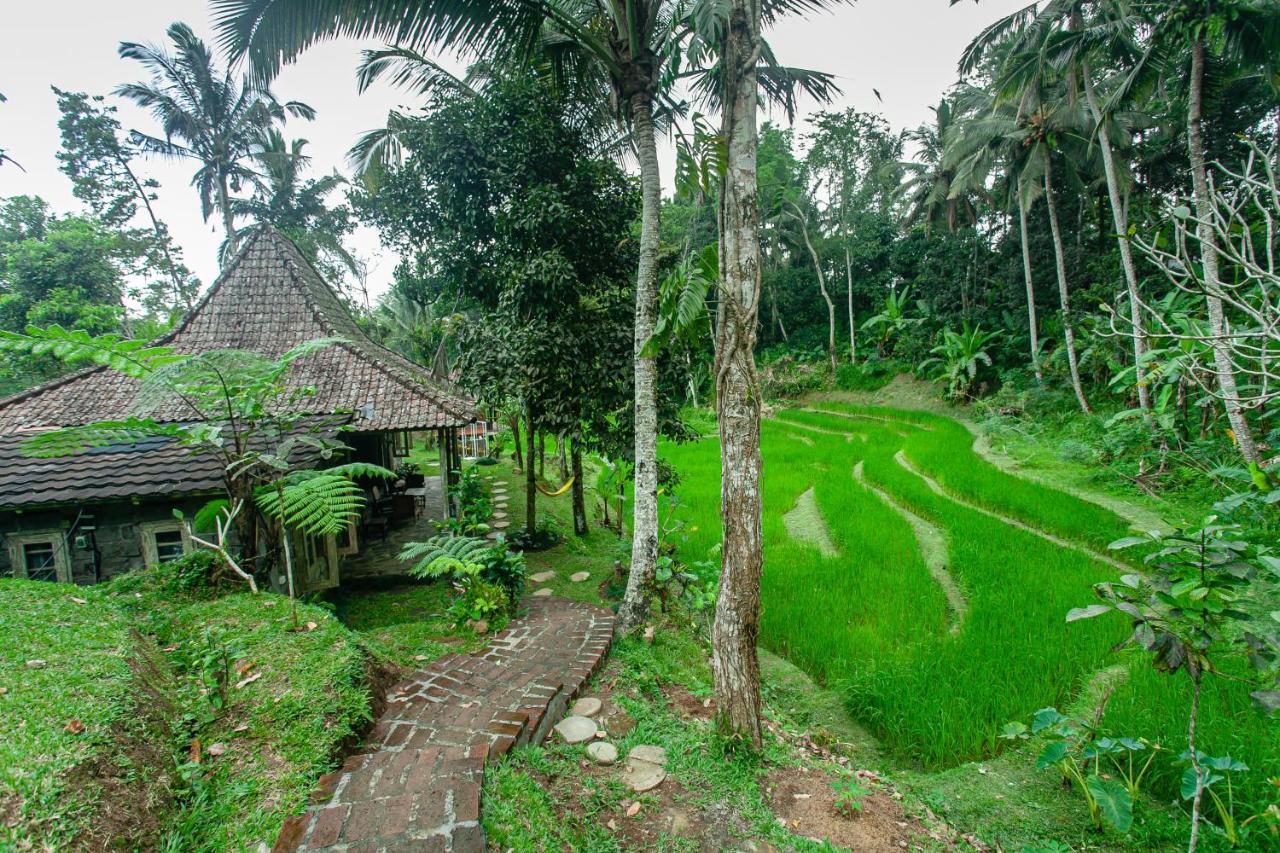 Tepi Sawah Lodge & Retreat Jatiluwih Exterior photo