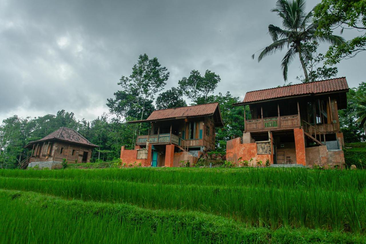 Tepi Sawah Lodge & Retreat Jatiluwih Exterior photo