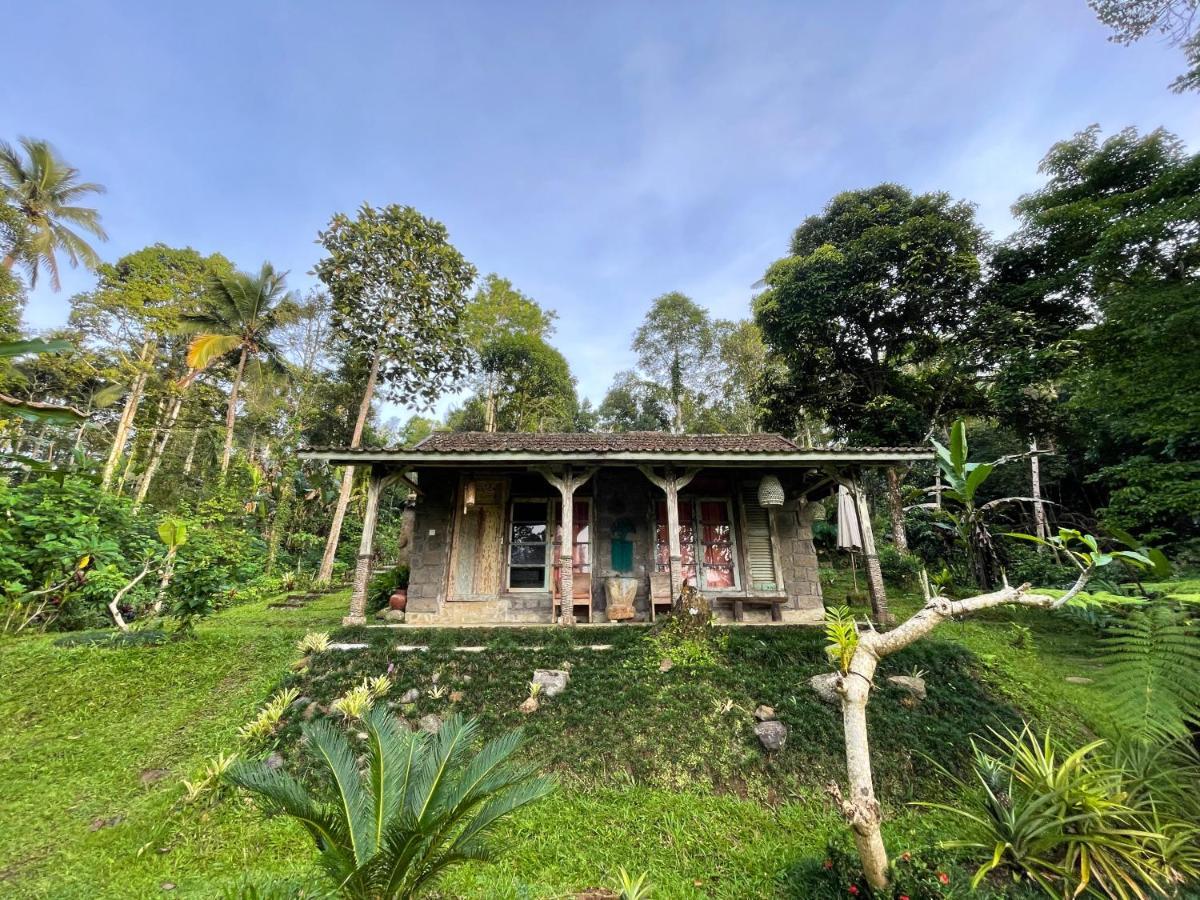 Tepi Sawah Lodge & Retreat Jatiluwih Exterior photo