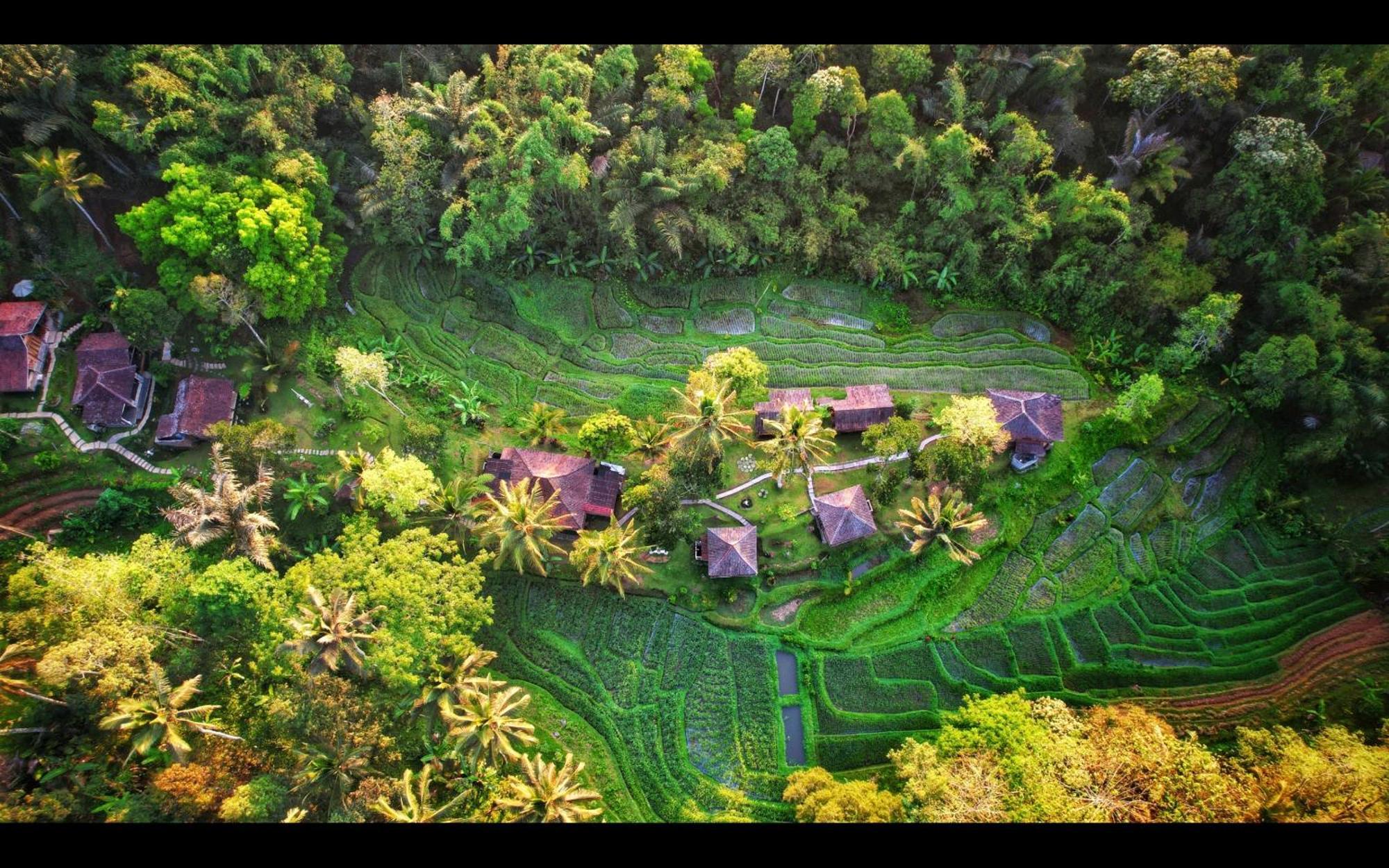 Tepi Sawah Lodge & Retreat Jatiluwih Exterior photo
