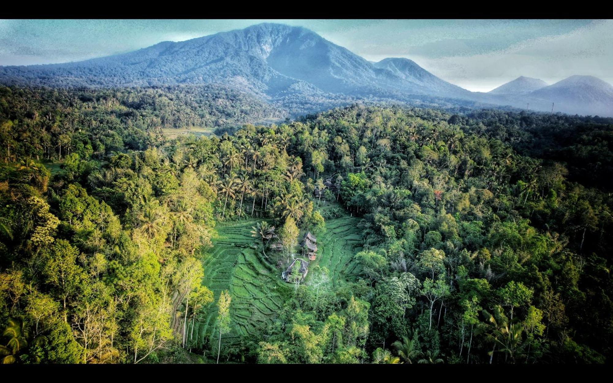 Tepi Sawah Lodge & Retreat Jatiluwih Exterior photo